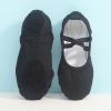 Ballet Shoes for Girls Dance Slippers Canvas Ballerina Shoes for Toddler/Little Kid/Big Kid Yoga (Black, 3 Big Kids) view 2