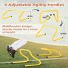 GHB Agility Ladder,Football Training Equipment Set,4 Agility Hurdles, 20 feet12 Rungs Speed Ladder,12 Disc Cones,Resistance Parachute, Jump Rope, 4 Resistance Bands (Blue) view 2
