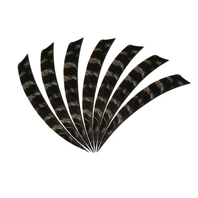 wolfman 50pcs 3" 4" 5Shield Cut Archery Fletches Arrow Feathers Turkey Feather Right/Left Wing for DIY Hunting Arrows Accessories (5 Inch, Right Wing)