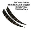 wolfman 50pcs 3" 4" 5Shield Cut Archery Fletches Arrow Feathers Turkey Feather Right/Left Wing for DIY Hunting Arrows Accessories (5 Inch, Right Wing) view 2