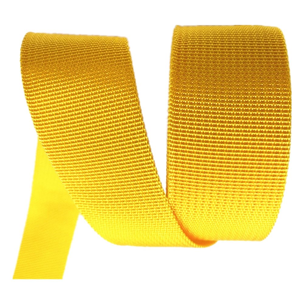 Polypropylene Webbing Strap Tape for Bags, DIY Craft, Backpack, Strapping, 10 Yard/roll