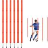 TOBWOLF 6PCS 6FT Adjustable Soccer Agility Training Poles, Slalom Training Agility Pole Set, Detachable Sports Training Speed Sticks, Outdoor Speed & Agility Turf Training Poles for Soccer Drills view 1