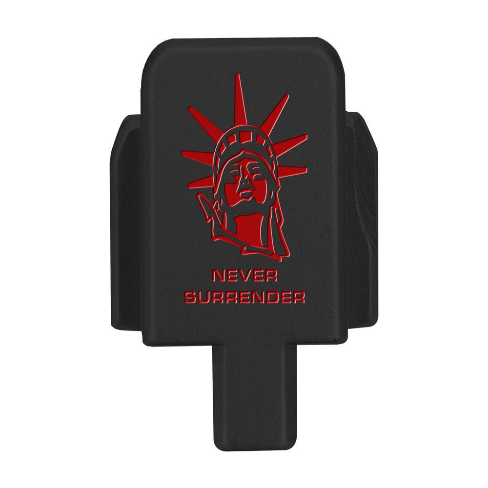 NDZ Performance Slide Cover Back Plate for Sig P320 Series 9 mm .40 .357 .45 ACP, Black Aluminum with Red Laser Engraved US Flag Patriotic Images - Liberty Head Never Surrender