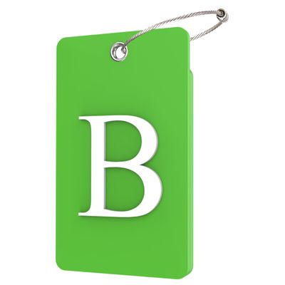 Gostwo 2 Pack Luggage Tags for Suitcases, 26 Initial Letter Travel Luggage Baggage Identification Labels ID Tag Fully Bendable Tags with Stainless Steel Loop (Green) (Letter B)
