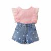 Children's Clothing Summer Girls Suit Foreign Girl New Mesh Lace Top Embroidered Denim Shorts Girl (Pink, 5-6 Years) view 1
