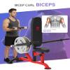 HVO Seated Dip Machine Tricep: Dip Machine Exercise for Biceps Chest Plate Loaded Multi-Function Upper Body Trainer for Home Gym Compact Equipment Fits 1" & 2" Plates view 4