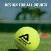 AMA SPORT Active Tennis Balls - Extra Duty Felt Pressureless Tennis Balls, 60 Balls view 4