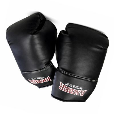 Autograph Boxing Gloves Elevate Your Collection with Authenticity and Elegance, Black