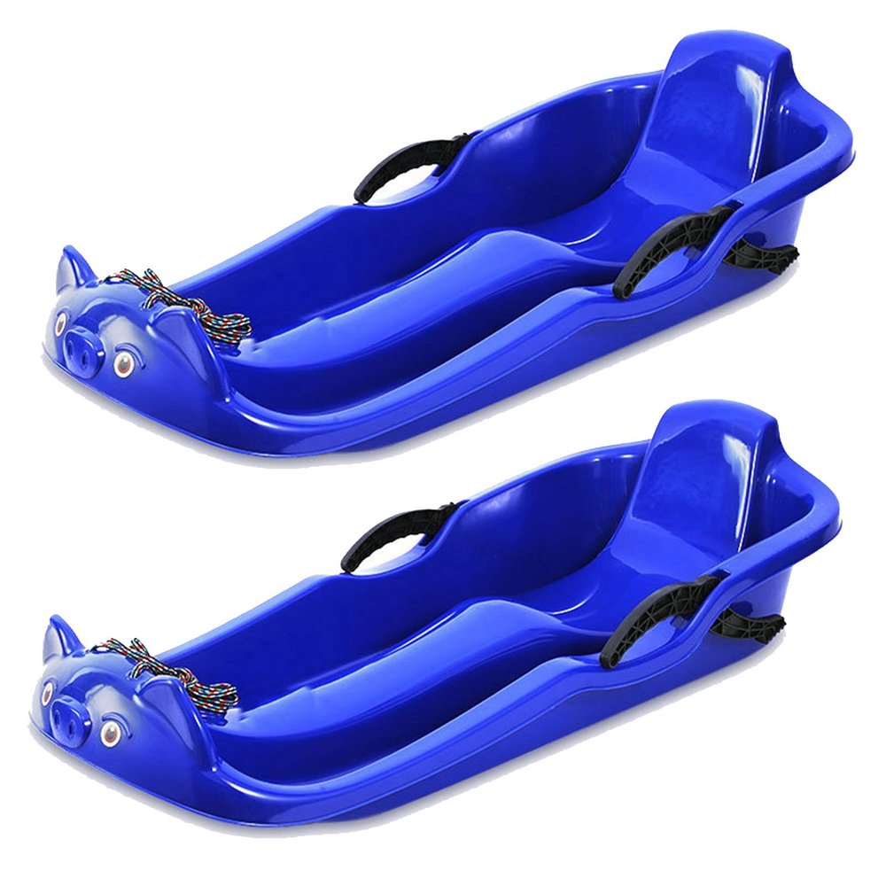 Children's Sledges with Handles, Frost-Resistant and Hard-Wearing Sledges, Two-Person Upholstered Sledges, Sledges with Backrests, Sledges with Brake Pull Ropes