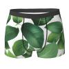 Herb Plant Leaf Premium Elastic Men'S Boxer Briefs,Comfortable And Breathable Men'S Underwear view 1
