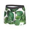 Herb Plant Leaf Premium Elastic Men'S Boxer Briefs,Comfortable And Breathable Men'S Underwear view 2