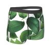 Herb Plant Leaf Premium Elastic Men'S Boxer Briefs,Comfortable And Breathable Men'S Underwear view 3