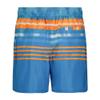 Under Armour Men's Volley Swim Trunks, UPF 50+ Sun Protection, Drawstring Closure & Elastic Waistband, Ripple Stripe, M view 3