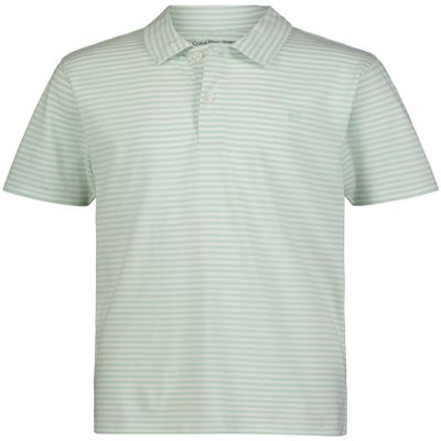 Calvin Klein Boys' Short Sleeve Jersey Striped Polo, Light Green Stripe, 18-20
