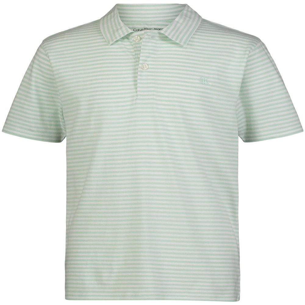 Calvin Klein Boys' Short Sleeve Jersey Striped Polo, Light Green Stripe, 18-20