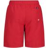 Nautica Boys' Swim Trunk with UPF 50+ Sun Protection, Vert Logo Carmine, 10-12 view 2