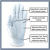 in The Hole Funny Golf Glove  Premium 100% Cabretta Leather Shocker Golf Gloves, Golf Attire and Essentials for Men, Fun Golfer Gag Gift, Adult Right or Left Hand, Small to XXL Sizes view 4