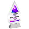 9 1/4" Personalized Glass Plaque for Awards and Trophies, Custom Award for Employee of the Month, Retirement, Leadership and Appreciation Gift N (D3) view 1