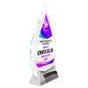 9 1/4" Personalized Glass Plaque for Awards and Trophies, Custom Award for Employee of the Month, Retirement, Leadership and Appreciation Gift N (D3) view 4