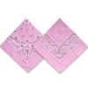 2 Pack Types of Paisley Pattern Bandanas, 22x22 Inches Cotton Bandanas Handkerchief Face Mask for Men & Women (Pink-2 Pack) view 1