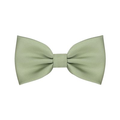BEWDIO Sage Green Baby Bow Tie, Solid Pre Tied Bow Ties for Boys Toddler Adjustable Kids Bowties for Wedding Party (58-09)