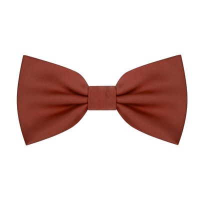BEWDIO Rust Bow Ties for Boys Pre Tied Toddler Bow Tie Adjustable Kids Bowtie Baby Bowties for Wedding Party (58-10)