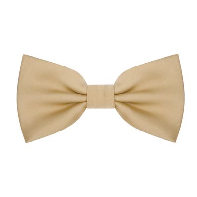 BEWDIO Champagne Bow Ties for Boys Pre Tied Toddler Bow Tie Adjustable Kids Baby Bowtie for Wedding Party (58-03)