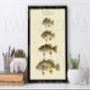 NineFit Basics Retro Bass & Gill - 4x6 (remastered vintage poster), beige view 2
