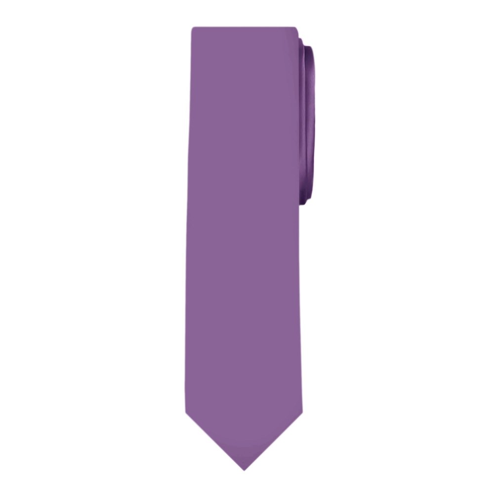 Jacob Alexander Boy's Prep Solid Color Self-Tie Regular Length Neck Tie - Wisteria