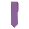 Jacob Alexander Boy's Prep Solid Color Self-Tie Regular Length Neck Tie - Wisteria view 1