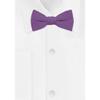 Jacob Alexander Young Boys' Solid Color Pre-Tied Adjustable Banded Bow Tie - Wisteria view 2
