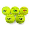 Score It Right - Weighted Training Softballs, 5 Weights (4oz, 5oz, 8oz, 10oz, 12oz), Soft Touch for Skill Improvement - 12-inch (4oz, 5oz, 8oz, 10oz, 12oz Set w/Carry Bag)