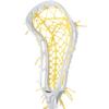 Womens Mark 2 Offense Lacrosse Head Strung with Tech Trad (High Pocket - White/Yellow) view 2