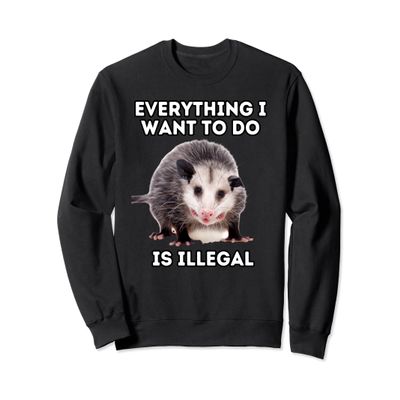 Everything I Want To Do Is Illegal Sweatshirt