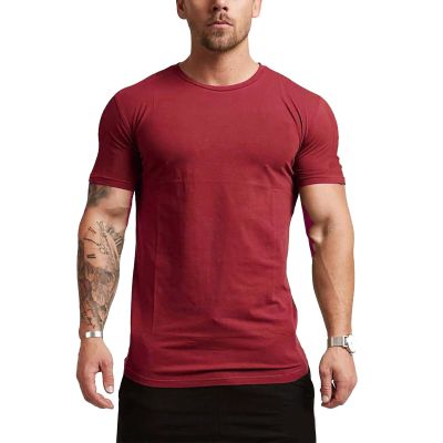 xoxingysm Mens T Shirt Ice Silk Cooling Summer Gym Workout Wrinkle Moisture Performance Pullover Activewear Classic Round Neck Short Sleeve Shirt Top Wine