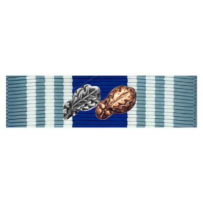 Air Force and Space Force Overseas Ribbon - Long Tour (7th Award)