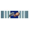 Air Force and Space Force Overseas Ribbon - Long Tour (7th Award) view 1