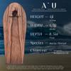 A'u 48-inch Bodyboard Clear Coated in Organic Hempseed Oil: Swift Wave Slider with Narrow Tail, Whole Bodied Nose, Adults Paepo'o, Ideal for Any Surf, Exceptional in Heavy Water by Earth Fan view 2
