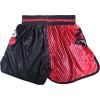 TAIKMD Muay Thai Shorts for Children Traditional MMA Gym Kickboxing Boxing Training Active Shorts (US, Alpha, Small, Regular, Red&Black) view 2