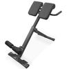 Houbos Hyperextension Roman Chair - Adjustable Bench Foldable Exercise Bench Back Extension Machine Roman Chair Exercise Equipment for Home Metallic