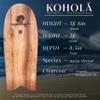Kohol  66-inch Surfboard Clear Coated in Organic Hempseed Oil: Full-Bodied Adult Paepo'o with Signature Whale Tail - Versatile, Fast Skill Levels by Earth Fan view 2