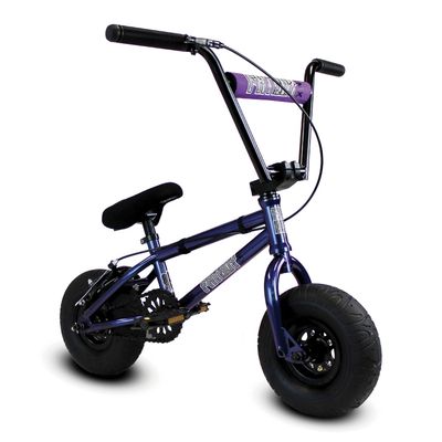 Fatboy Mini BMX Bike for Kids and Adults  10" Tire BMX Bicycle, Sturdy Steel Frame, 1-Pc & 3-Pc Crank Options (Pro-Purple Smash)