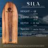 Sila  48-inch Bodyboard Clear Coated in Organic Hempseed Oil: Traditional Polynesian Wave Magnet - Responsive, Versatile, Ideal for Any Surf, Exceptional in Heavy Water, Adults Paepo'o by Earth Fan view 2