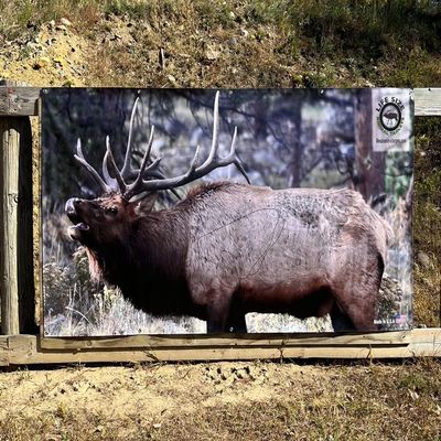 Life Size Elk Target - 2D Vinyl 86" x 47" Shooting Target