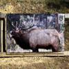 Life Size Elk Target - 2D Vinyl 86" x 47" Shooting Target view 1