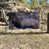 Life Size Elk Target - 2D Vinyl 86" x 47" Shooting Target view 4