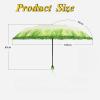 YFEIQI Creative Cabbage Umbrella, Three Folding Sunny and Rainy Umbrellas, Funny Vegetable Rain Umbrella, Gifts for Girls and Ladies view 3