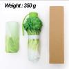 YFEIQI Creative Cabbage Umbrella, Three Folding Sunny and Rainy Umbrellas, Funny Vegetable Rain Umbrella, Gifts for Girls and Ladies view 4
