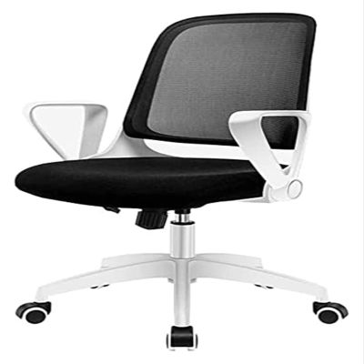 BytheM Chair Office Ergonomic Chair Rotating Handrail Small Space Dedicated Breathable Mesh Swivel Chair Bearing Weight (Color : Light Green)