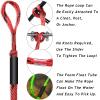 2PCS Fender Lines 2FT Premium Bungee Boat Lines with 316 Stainless Clip for Boat Bumper/Boat Fender Boat Accessories for Mooring for Jet Ski, SeaDoo, Yamaha WaveRunner Dinghy (Red&Black, 2 Feet) view 3